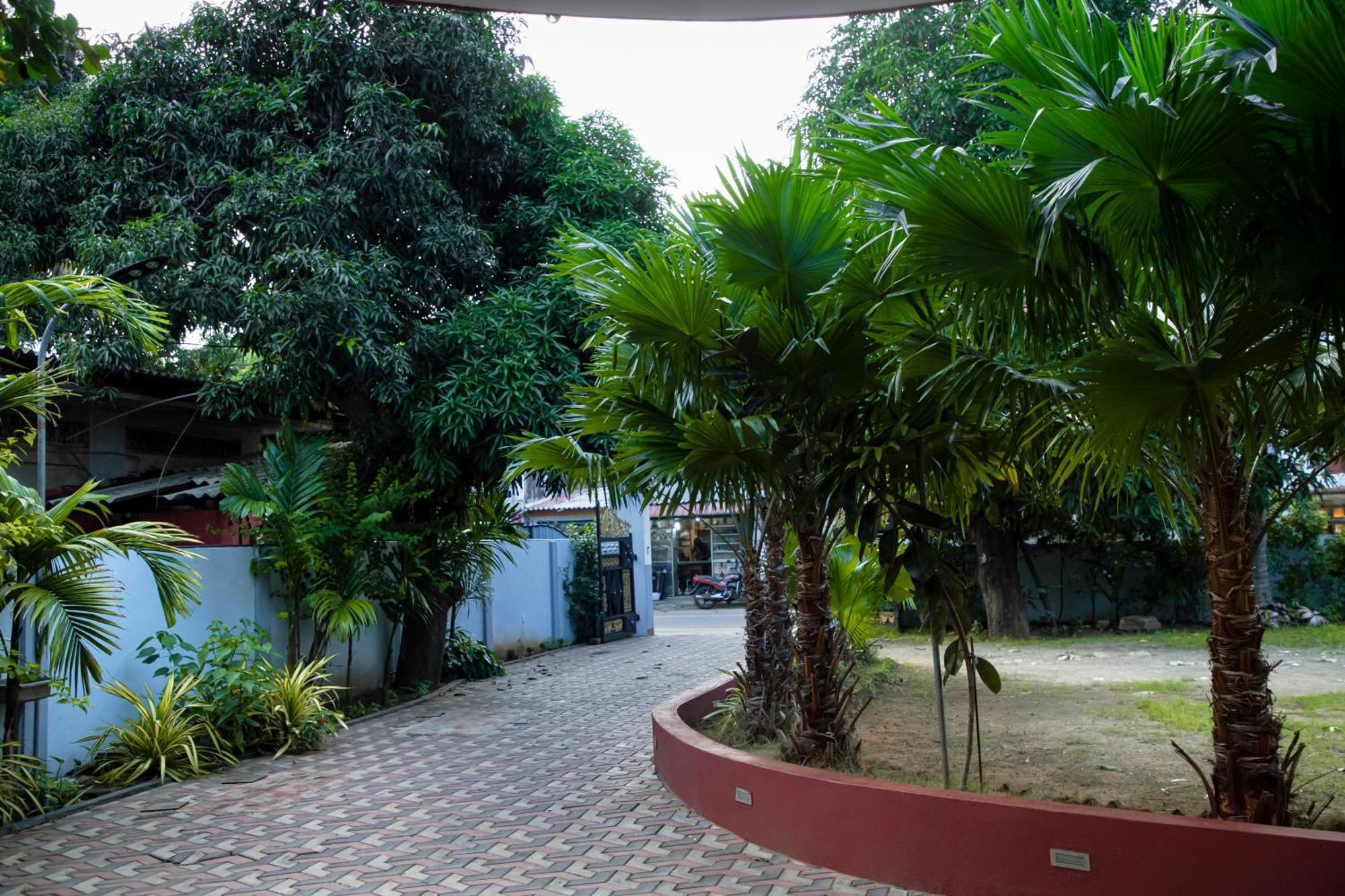 Golden Star Guest House จาฟนา ภายนอก รูปภาพ